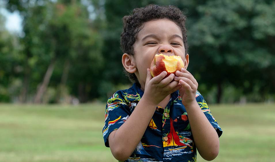 Happy child eating an apple outdoors