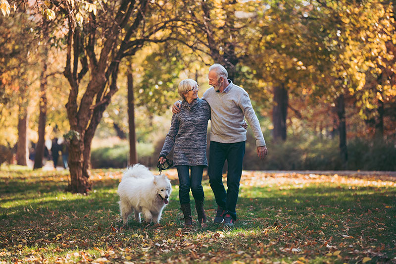 A medicare aged couple and dog walking in a park