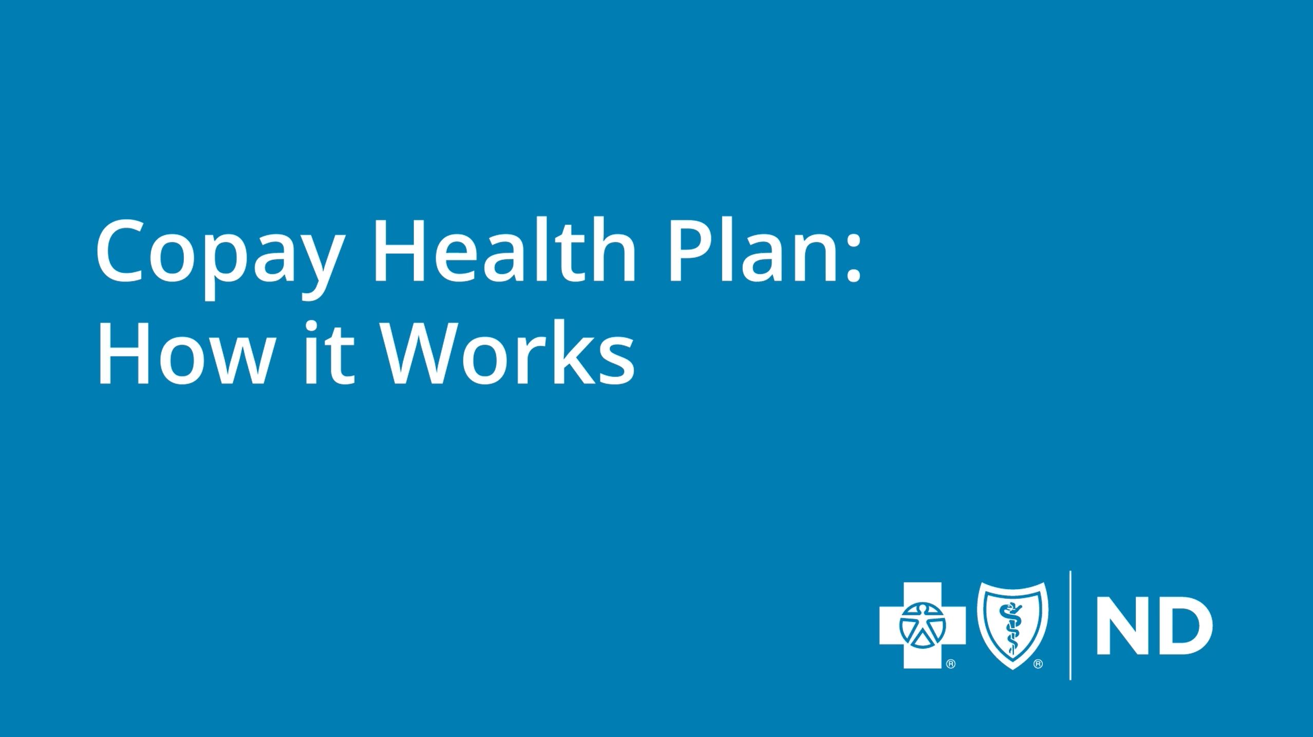 Copay health plan: How it works