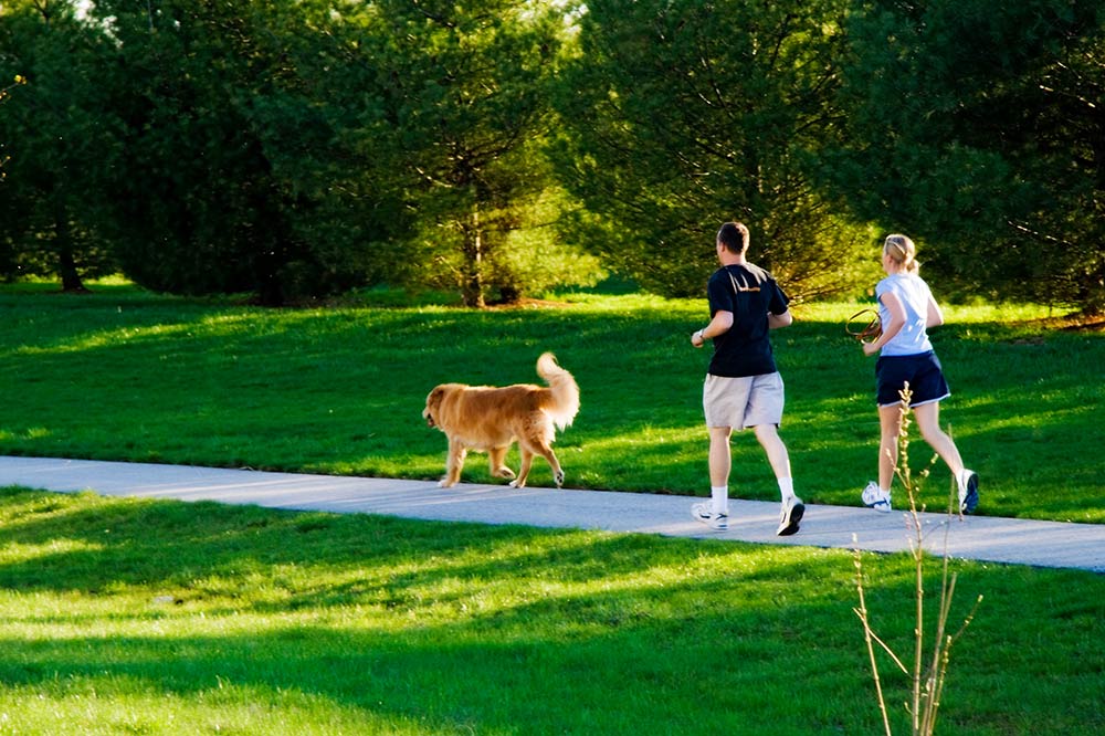 A couple running on a trail with a dog